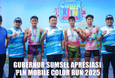 Dorong UMKM dan Gaya Hidup Sehat, Gubernur Herman Deru Apresiasi PLN Mobile Color Run 2025