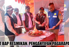 PT Bumi Andalas Permai Aktifkan Tim Pagarapat, Perkuat Perlindungan Gajah Sumatera di Air Sugihan