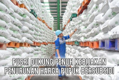 Harga 5 Pupuk Bersubsidi Resmi Diturunkan Pemerintah, ini Respon Mengejutkan Dirut Pusri