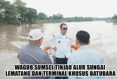 Solusi Jangka Panjang Transportasi Batubara Berbasis Sungai, Pemprov Sumsel Jajaki Jalur Lematang-Musi