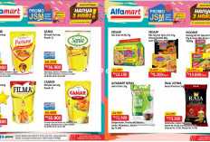 Katalog Promo JSM Alfamart Periode 23 November 2024, Dapatkan Camar Minyak Goreng Pouch 2L Rp35.900