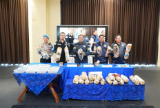 Polda Sumsel Bongkar Sindikat Ladang Ganja 20 Hektar di Kabupaten Ini, Ratusan Kg Ganja Disita
