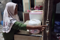 Program Listrik Desa, PLN Siap Beri Sambungan Listrik ke 780 Ribu Rumah Tangga