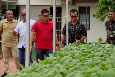 Pangdam II Sriwijaya Dampingi Kapuspen TNI Tinjau Urban Farming Taman Aspirasi, Apa Tujuannya