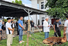 Kejari OKU Timur Laksanakan Pemotongan Hewan Kurban, Ini Lokasinya