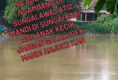 Heboh! 2 Ekor Buaya Muncul di Sungai Rotan Ogan Ilir, Ini Himbauan Polisi