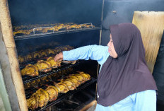 Inovasi Alat Ramah Lingkungan Pertama di Sumsel, Pangkas Emisi UMKM Ikan Asap Hingga 36 Persen