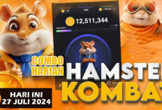 Combo Harian Hamster Kombat 27 Juli 2024, Ada 5 Juta Koin Menantimu, Gratis!