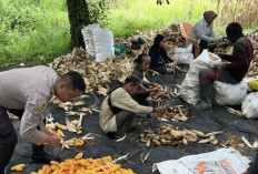 Polisi Gandeng Petani Perkuat Ketahanan Pangan di Desa Sarang Lang Ogan Ilir, Ini Caranya