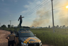 2 Hektar Lahan Terbakar di Ogan Ilir, Tim Gabungan Sukses Padamkan Api dengan Total