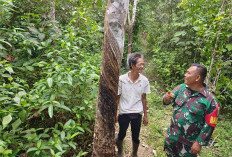 TMMD 128, Ajang Perkuat Komsos dengan Masyarakat Guna Tampung Aspirasi