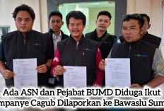 Ada ASN dan Pejabat BUMD Diduga Ikut Kampanye Cagub Dilaporkan ke Bawaslu Sumsel, Ayo Tebak!