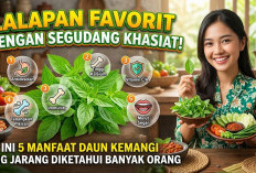 Lalapan Favorit dengan Segudang Khasiat! Ini 5 Manfaat Daun Kemangi yang Jarang Diketahui Banyak Orang