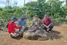 UNIK! Talang Pagar Agung Lahat Simpan Pesona Indah Warisan Leluhur di Balik Kebun Kopi