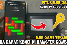 Update Combo Harian Hamster Kombat 19 Agustus, Menangkan Bonus 5 Juta Dengan Daily Combo