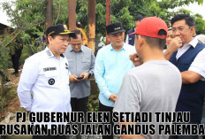 Viral Jalan Gandus Palembang Rusak Parah! Pj Gubernur Sumsel Beber Solusi Jitu yang Segera Terealisasi