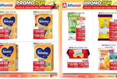 Banjir Diskon! Promo JSM Alfamidi Periode 15 Desember 2024, Bebelac 4 Madu, Vanila Klg 800g Rp128.600