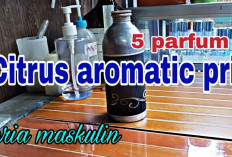 5 Rekomendasi Parfum Cowok dengan Aroma Citrus yang Segar dan Maskulin, Tipe Eau de Parfum!