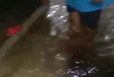 Hujan 2 Jam, Rumah Warga Di di Perumnas Nendagung Pagaralam Terendam Banjir, Ini Kondisinya