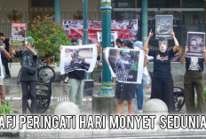 Hari Monyet Sedunia, AFJ dan Belasan Aktivis Desak Pemerintah DIY Segera Terbitkan Larangan Perdagangan Monyet