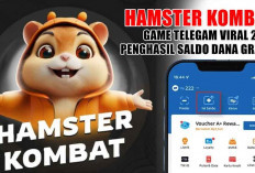 Hamster Kombat, Game Telegam Viral Penghasil Saldo DANA Gratis, Cairkan Cuan Setiap Hari, Begini Cara Mainnya!