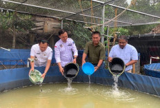 Tanjung Baru Lahat Terima 5000 Ekor Bibit Ikan Lele CSR PT SMS, Ini Harapan Camat Kikim Tengah