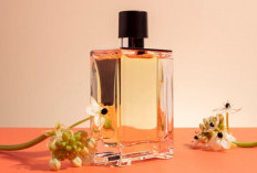 Inilah 10 Parfum Viral di TikTok yang Sedang Jadi Sorotan, Dari Black Opium hingga Daisy, Mana Pilihanmu?