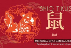 Keberuntungan Cinta: Romansa Menanti Shio Tikus di Bulan November, Kabar Gembira Untuk Para Jomblo Nih Brosist