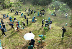 Peringati Hari Lingkungan Hidup Sedunia, PT Bukit Asam Gelar Green Mining dengan Tanam Pohon Bersama