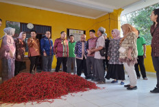 Pemkot Palembang dan Pemkab Kulon Progo Teken Kerja Sama Pengendalaian Inflasi Cabai