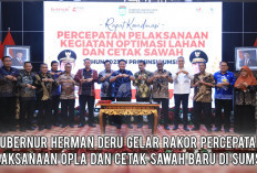 Gubernur Herman Deru Tegaskan Optimalisasi Lahan dan Cetak Sawah Baru di Sumsel Gak Bakal Jalan, Kalau...