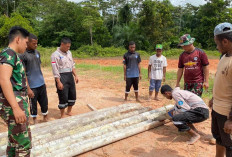 Bersama Warga, Satgas Yonif 144 Jaya Yudha Perbaiki Fasilitas Sekolah, Seperti Apa?