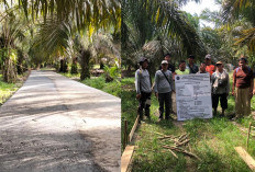 KEREN KUYS! Desa Jajaran Baru Lahat Dapat Bantuan Bangun Akses Jalan ke Kebun, Ini Buktinya 