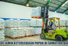 PT Pusri Palembang Jamin Stok Pupuk Sumatera Barat Aman, 11.701 Ton Urea Siap Distribusi Sepanjang April 2026