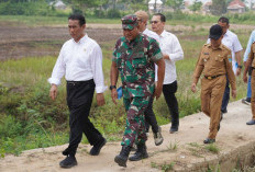 Kasdam II Sriwijaya Dampingi Kunker Menteri Pertanian di Ogan Ilir, Beri Penyuluhan ke Petani