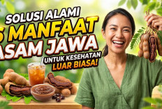 Solusi Alami Atasi Berbagai Masalah Tubuh! Ini 6 Manfaat Buah Asam Jawa untuk Kesehatan yang Luar Biasa