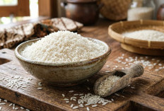 Stok Beras Melimpah, Mentan Sebut Cadangan Capai 4 Juta Ton Cukup Hingga Akhir Tahun