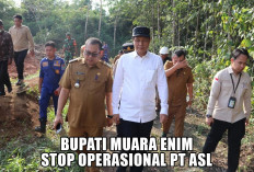 Dinilai Lalai Akibatkan Ribuan Ikan Mati di Sungai Lubai, Bupati Muara Enim Stop Operasional PT ASL 