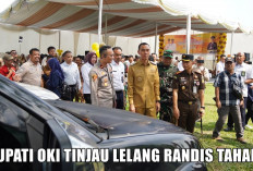 Bupati Muchendi Senang! Lelang Randis Pemkab OKI Tahap I Tembus Rp 990 Juta, BPKAD Optimis Lampaui Target