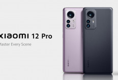 4 Keunggulan Xiaomi 12T Pro, Kamera 200MP Jadi Raja Baru Fotografi Smartphone!