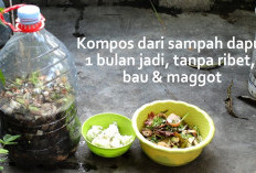 Rahasia Kebun Lebat: Tips Bikin Pupuk Kompos dari Sampah Dapur Agar Cepat Berbunga