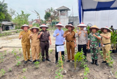 Kejari Ogan Ilir Hadiri Penanaman Pohon Kelapa, Dimana Tempatnya