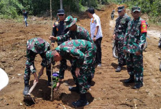 Tim Wasev TMMD Tanam Pohon Bambang Lanang Pinggir Akses Jalan, Untuk Ini Tujuannya