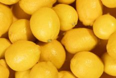 4 Daerah Ini Raja Penghasil Lemon di Sumatera Selatan, Cek Datanya!