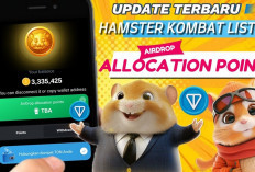 Klaim Kode NONCE Hamster Kombat, Dapatkan Rp 1 Juta Koin Gratis Daily Cipher