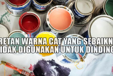 Deretan Warna Cat yang Sebaiknya Tidak Digunakan untuk Dinding, Bikin Rumah Terlihat…