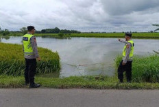 Waspada Banjir Dadakan! Polisi dan TNI Siaga Pantau Sungai Belitang