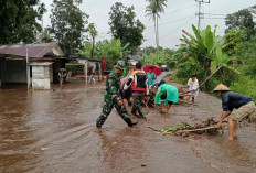 Koramil 405-08/Jarai Wilayah Kodam II/Swj Kerahkan Babinsa Evakuasi Warga Terdampak Banjir