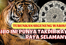 Terbebas dari Ciong: Inilah 5 Shio Paling Hoki di Tahun 2025, Siap-Siap Dapat Keberuntungan Berlipat Ganda!