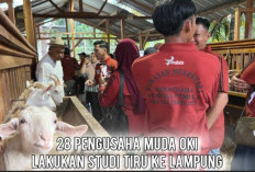 Bukan Kunjungan Biasa, 28 Wirausaha Muda OKI Pelajari Bisnis Pengolahan Susu Kambing Modern di Lampung